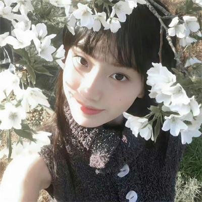 隼鹰